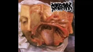 CORPSE WAX - Demo Teaser Track (GoreGrind/Grindcore) 2022