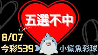 539不出牌│8月07日 連過4天 小鯊魚五選不中分享 #不出牌 #539