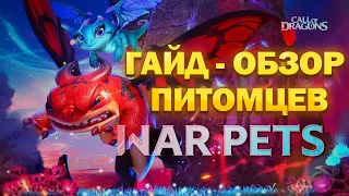 ПЕРВЫЙ ВЗГЛЯД | ГАЙД- ОБЗОР ПИТОМЦЕВ | Call Of Dragons WAR PETS