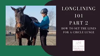 Longlining Part 2 //  How to set the lines for a lunge circle