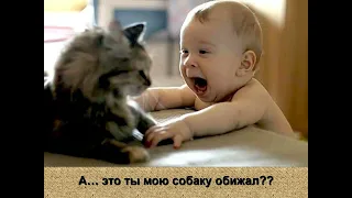 Котята (плейлист "Мир входящему", музыка "Чёрный кот")