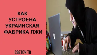 Анна Долгарева: Эти «промывочные» фабрики работают уже не первый год