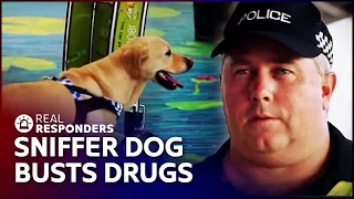 Sniffer Dog Cracks Down On Drug Smuggling | Territory Cops | Real Responders