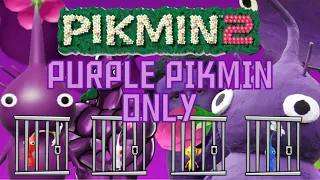 Beating Pikmin 2 with (mostly) ONLY Purple pikmin!