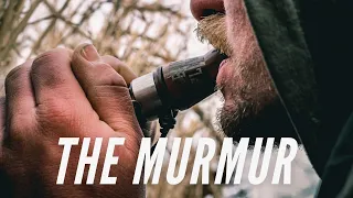 How to do the Murmur on a Goose Call