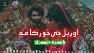 Orbal Che Khor Kama | Pashto Song Slowed Reverb By Rahman Typist | 720P HD