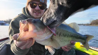 SIMPLE technique to catch bass in COLD water! Old Hickory Lake!