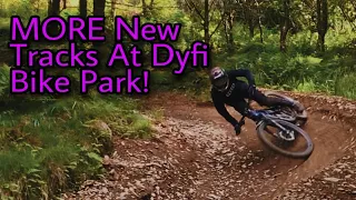 More NEW TRACKS AT DYFI BIKE PARK *Fire In The Booth*