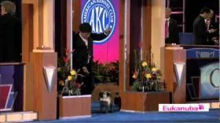 Eukanuba World Challenge Finals Part 1