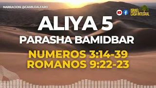 Aliya 5 Parasha Bamidbar