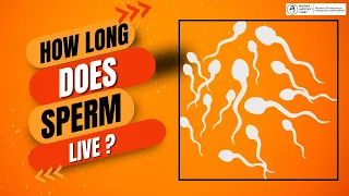 The lifespan of sperm | How long does sperm live in after ejaculation ?  | Male fertility Tips