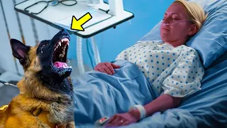 Dog Was About To Kiss Its Dying Owner Goodbye. Then It Noticed Something ODD & Stopped The Doctor!
