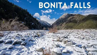 Bonita Falls: Hiking in the Snow to a 100 Foot Southern California Waterfall