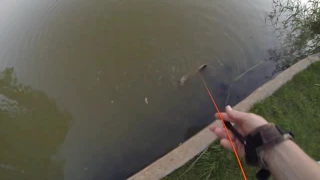 Bow fishing, South Africa. Hunting catfish with my PSE bow.