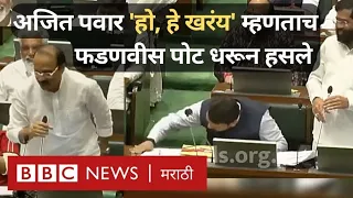 Eknath Shinde Ajit Pawar Funny Video: Maharashtra Vidhan Sabha मध्ये जेव्हा अजित पवारांनी हसवलं...