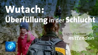 Wutach: Überfüllung in der Schlucht | tagesthemen mittendrin