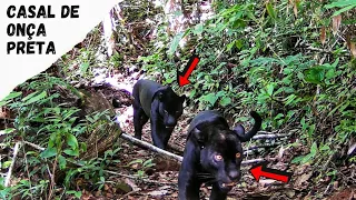 NA HORA QUE EU VI DEU UM ARREPIO NA ESPINHA, A ADRENALINA FOI A MIL, COISA DE LOUCO