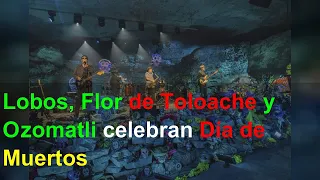 Lobos, Flor de Toloache y Ozomatli celebran Día de Muertos