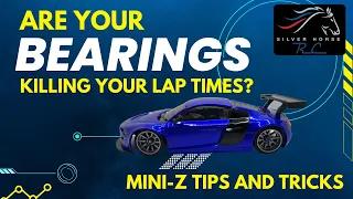 Silver Horse RC - Mini-z Setup - Bearings save lap time!