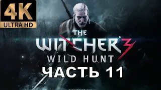 The Witcher 3 прохождение без комментариев часть 11