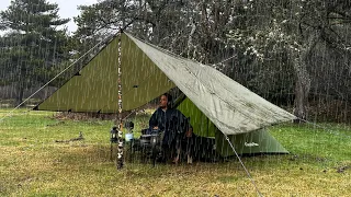 Relaxing Tent Camp in Heavy Fog and Rain - Nature Documentary, Spruce Trees, Rain Sound