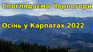 Споглядаємо Чорногірський хребет. Карпати Осінь 2022