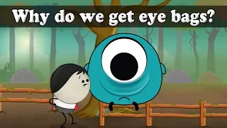 Why do we get eye bags? | #aumsum #kids #science #education #children