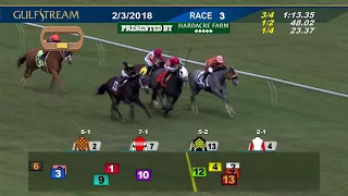 Gulfstream Park Replay Show | February 3, 2018