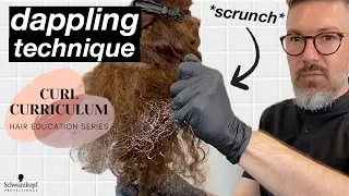 Hand Painting aka Dappling For Curly Hair | Highlighting Tutorial | Schwarzkopf Professional