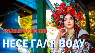 Несе Галя воду. Українська народна пісня.