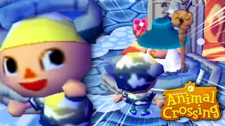 The Perfect Town Project! (Animal Crossing Gamecube #4)