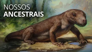 4,6 Bilhões de anos em 50 minutos: A história da evolução!