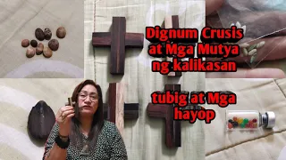 Dignum Crusis at Mga Mutya ng Kalikasan apat na uri ng dignum, mutya ng tubig at iba pa