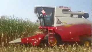 Cosechadora de maíz LOVOL