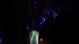 Glowing tree