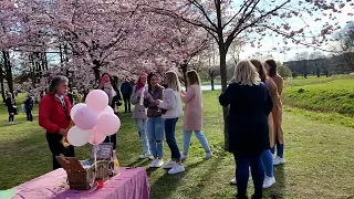 Sakura in Riga and a symbol of the Soviet occupation / Сакура в Риге и символ советской оккупации