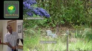 Native Plants for the Habitat Gardener