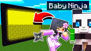 How To Make A Portal To The Aphmau BABY Ninja's STEALTH Minecraft