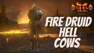 Level 89 Fire Druid - HELL COWS - Fully Twinked End Game Build - Diablo 2 Resurrected on Console
