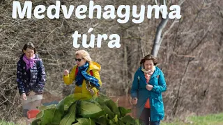 Tavaszi medvehagyma túra a Bécs környéki erdőkben