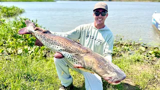 RARE "River Monster" Catfish in Argentina! Plus Golden Dorado and Piranha!