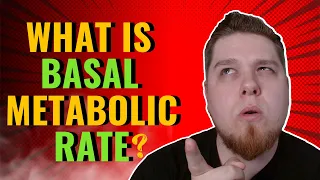 What is my BMR (Basal Metabolic Rate) and Why is it Important?