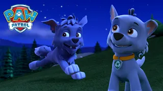 Los cachorros se van de campamento y Rocky sueña que es un cachorro lobo salvaje PAW Patrol Español