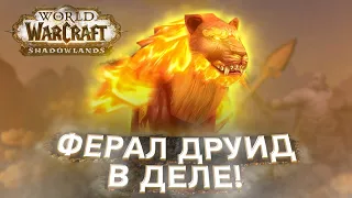 Лучшая ЛЕГА на Ферал Друида! Shadowlands! WoW 9.0.2! ● РЭЙВИС