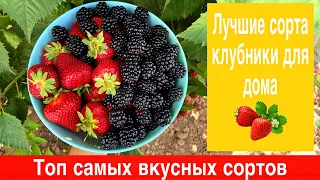 Топ самых вкусных сортов клубники