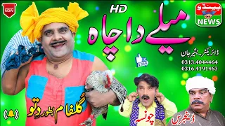 #FunnyVideo | New Funny Videos | Mele Da Chaa | Pendu News