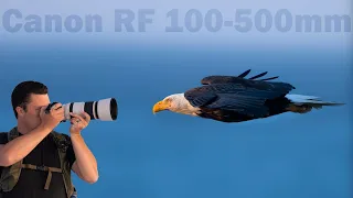 CANON RF 100-500mm Long Term Review: Is This The One Zoom To Rule Them All?