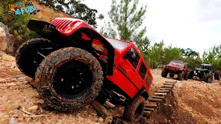 RC Jeep Wrangler Rubicon | Axial SCX10 II and SCX10 III | Trail & Crawling Test | Cars Trucks 4 Fun