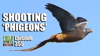 Fieldsports Britain - Shooting 'Phigeons'