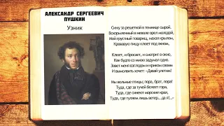 А.С. Пушкин - Узник | Сижу за решеткой в темнице сырой | Стихи слушать
